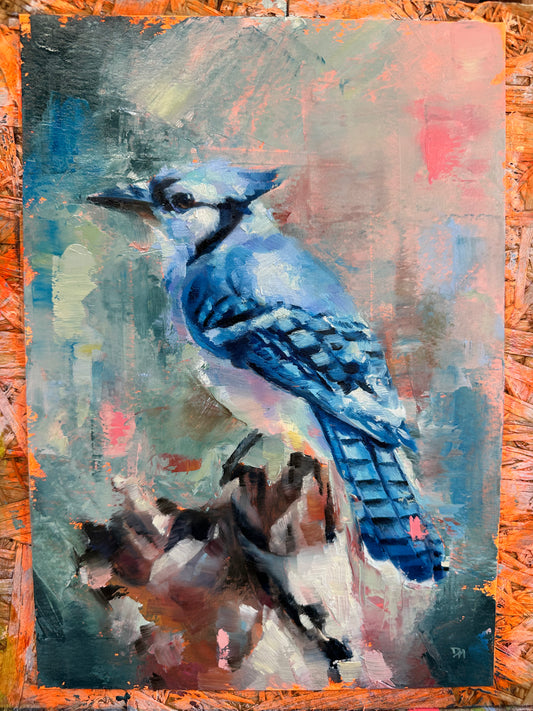Blue Jay