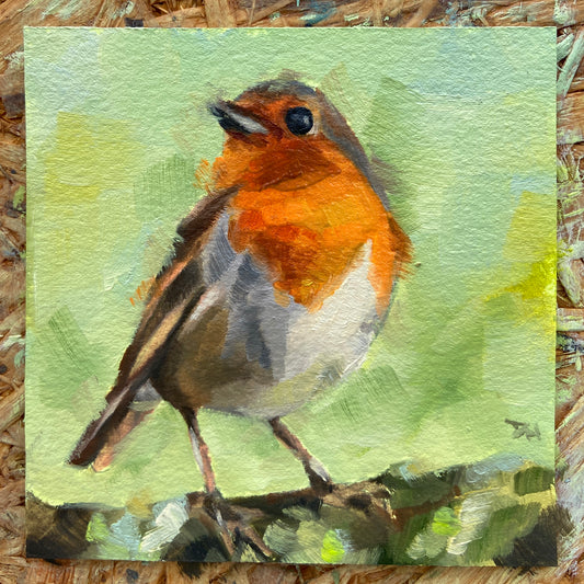 Robin Redbreast