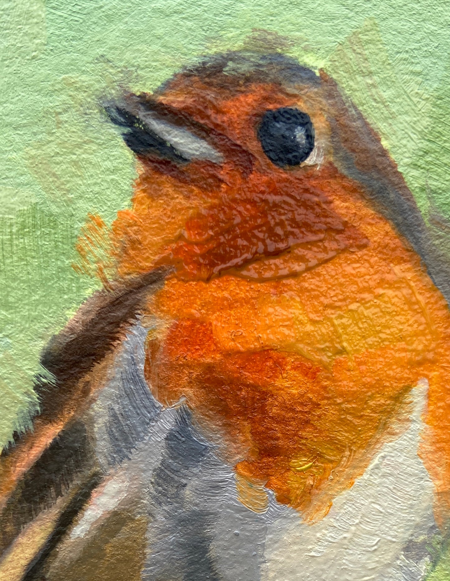 Robin Redbreast
