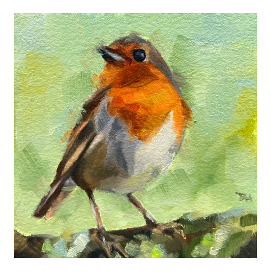 Robin Redbreast