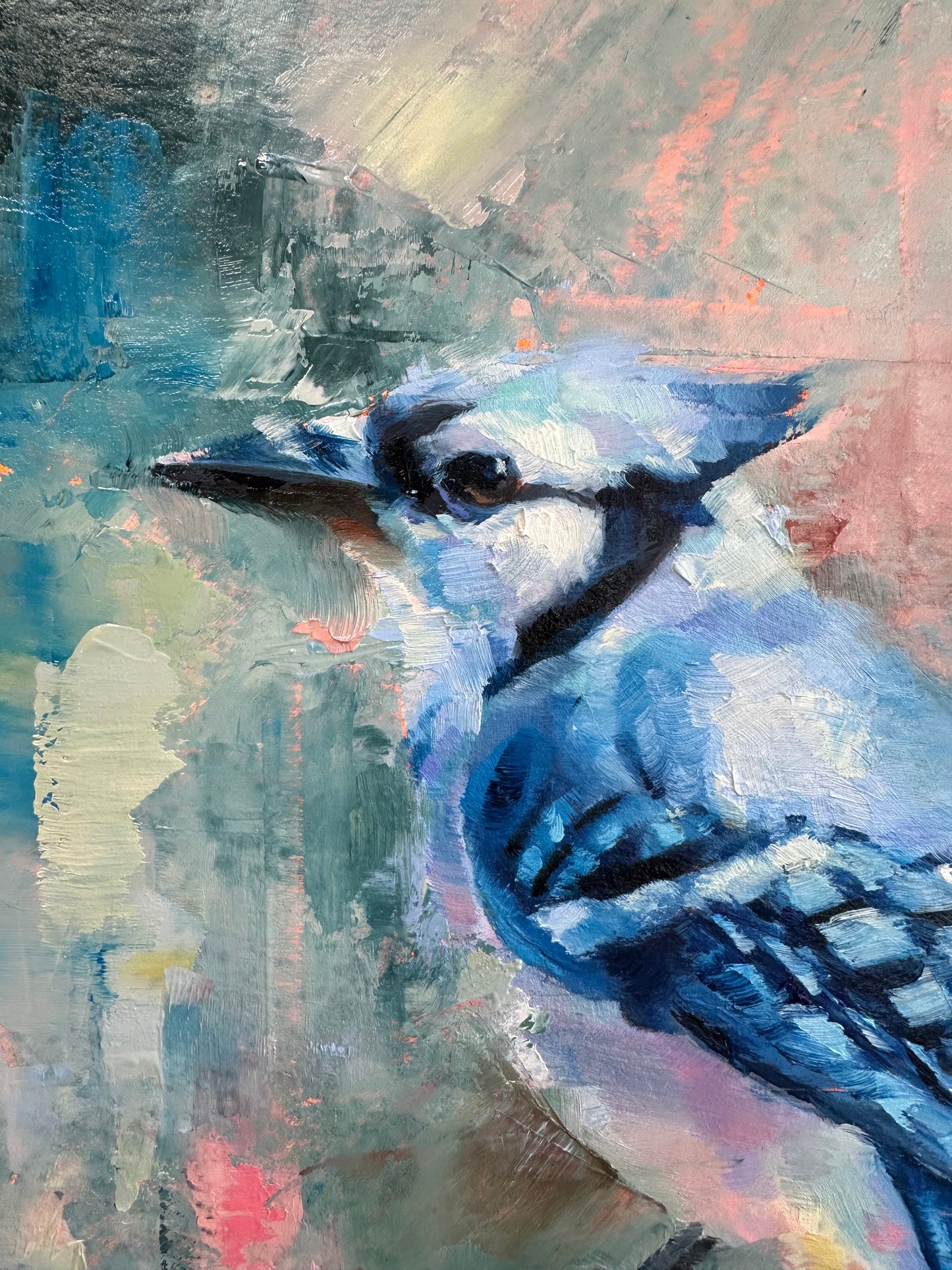 Blue Jay
