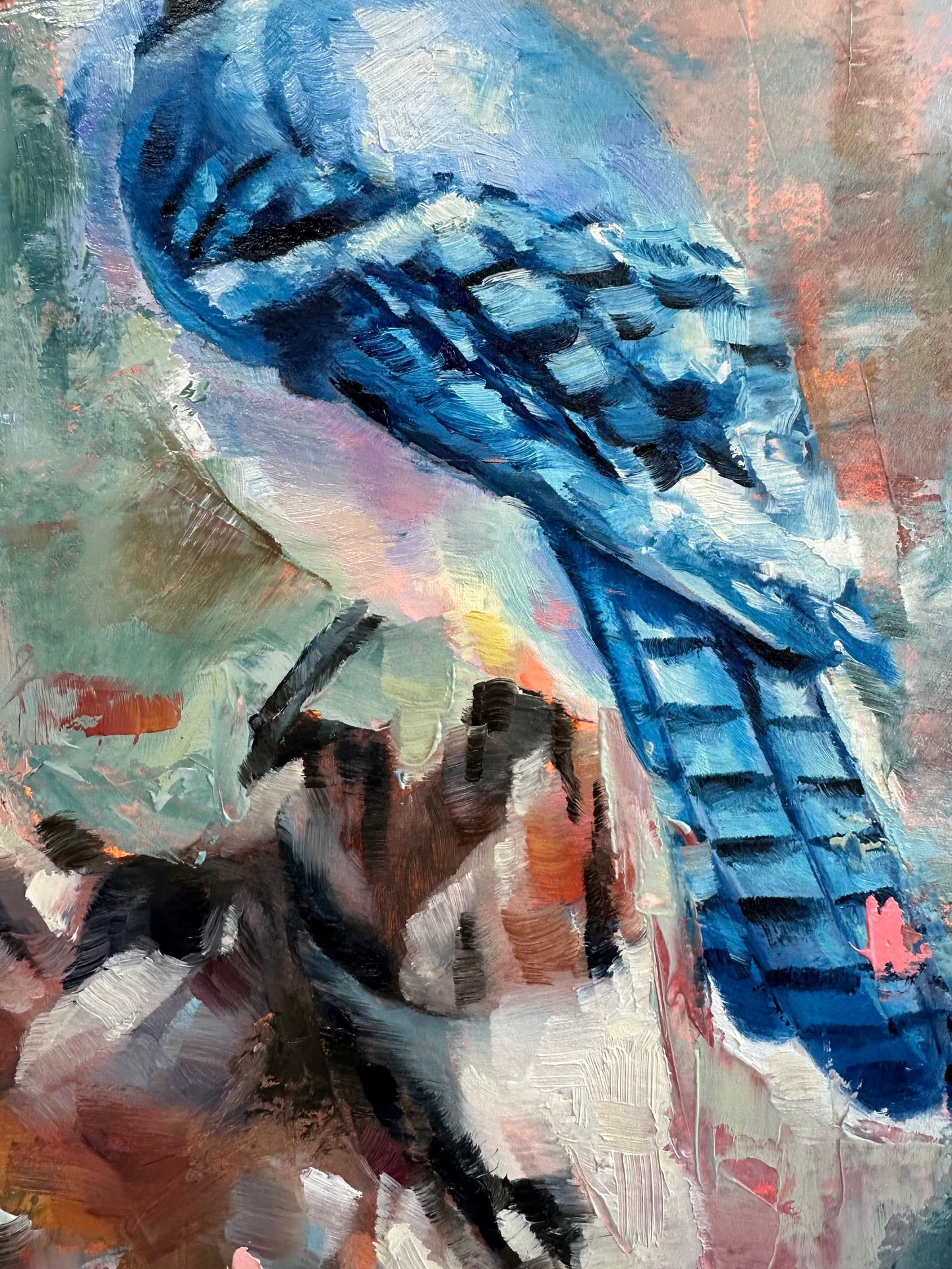 Blue Jay