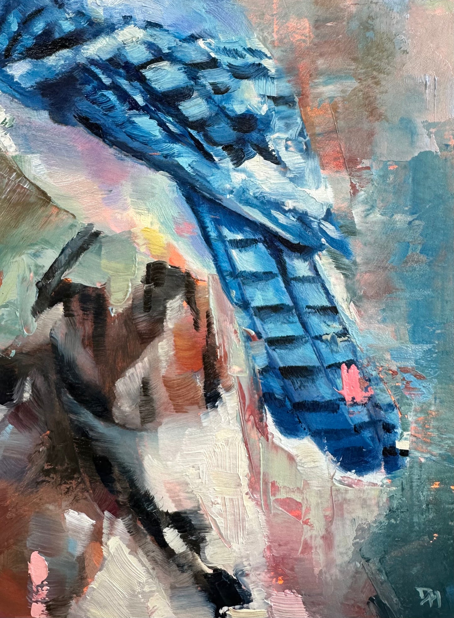 Blue Jay