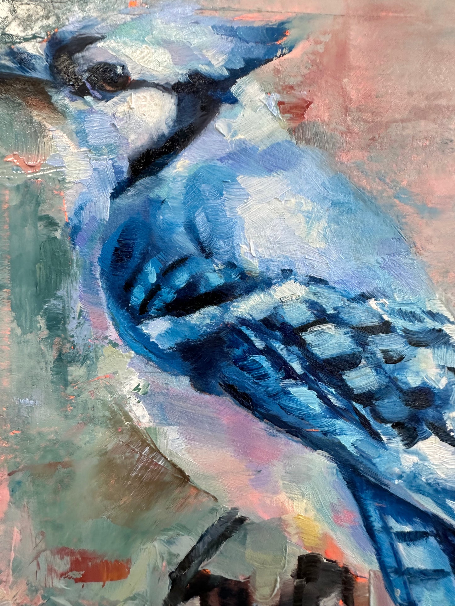 Blue Jay