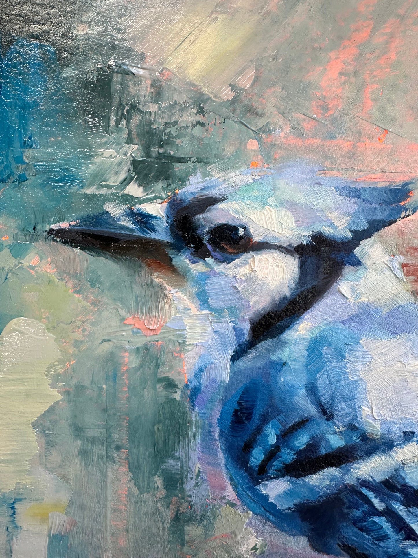 Blue Jay