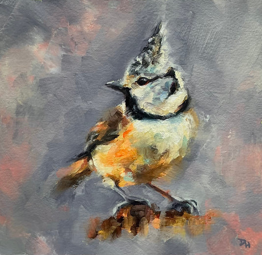 Create Tit on a branch