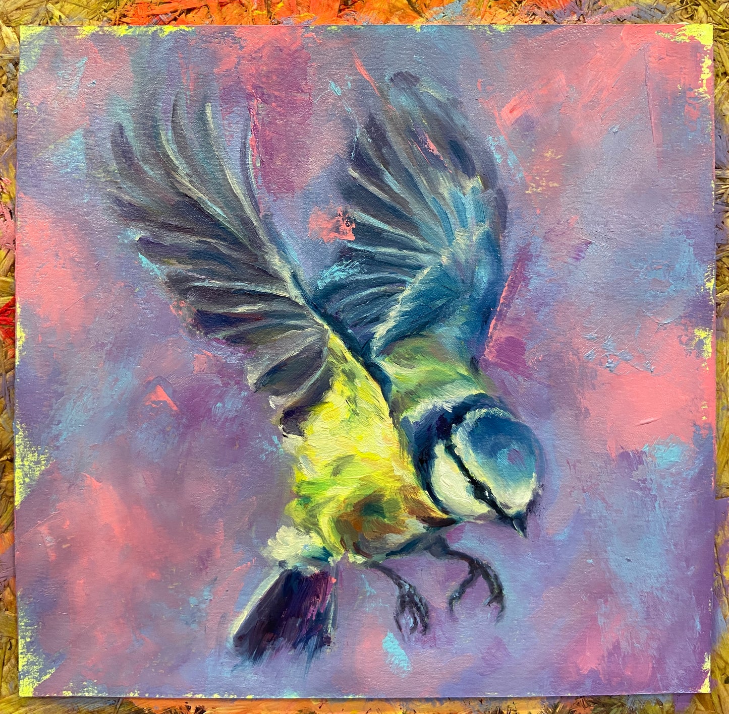 Blue Tit in flight