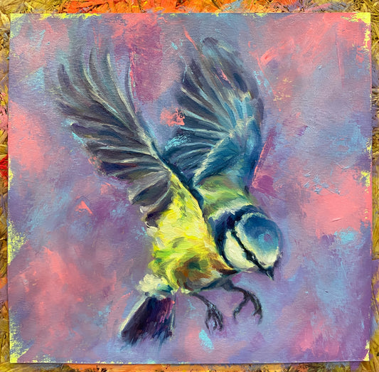 Blue Tit in flight