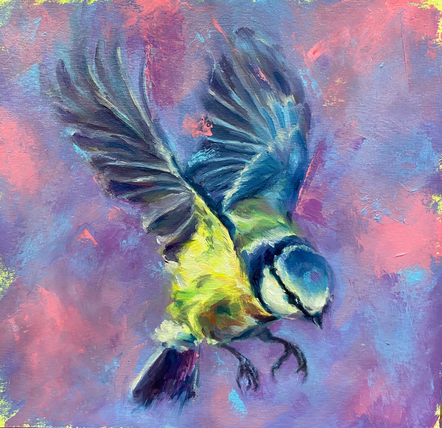 Blue Tit in flight