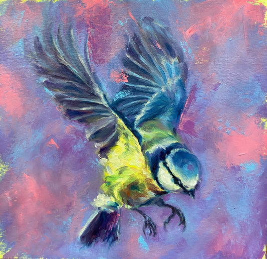 Blue Tit in flight