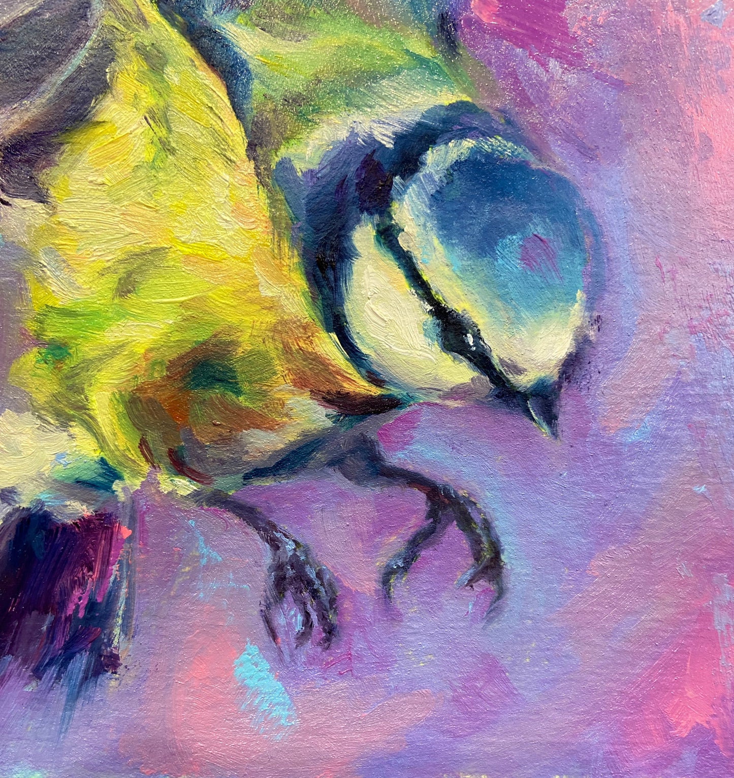 Blue Tit in flight