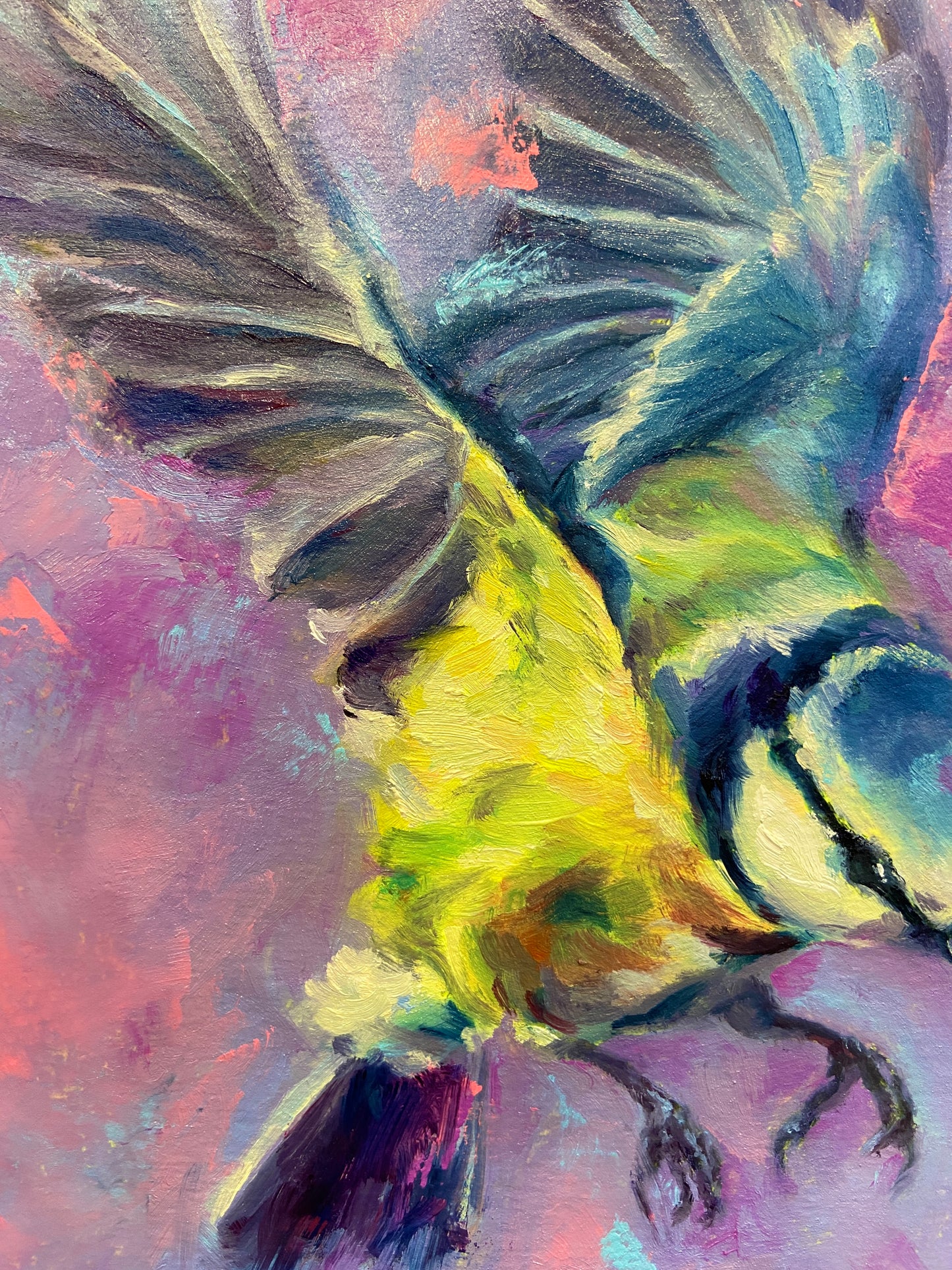 Blue Tit in flight