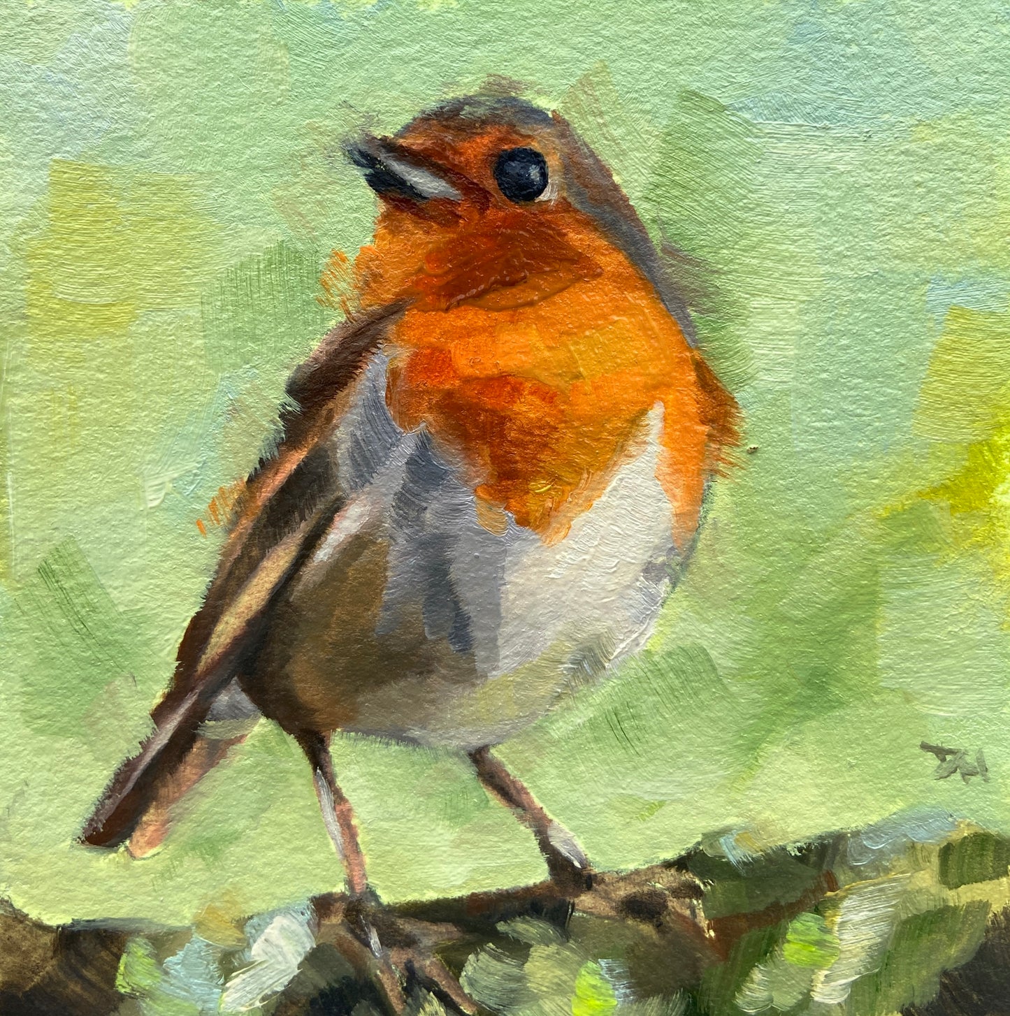 Robin Redbreast