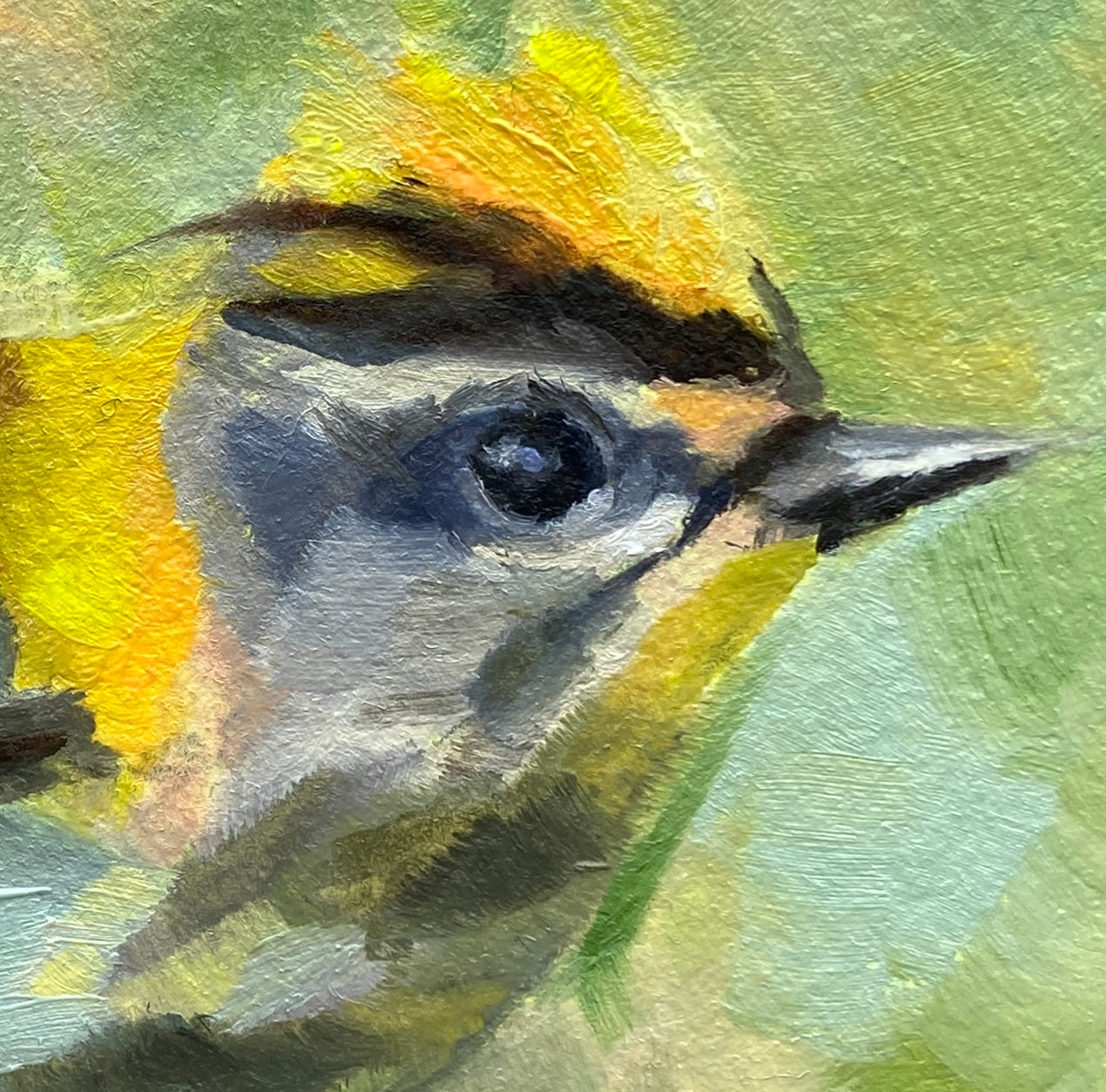 Firecrest