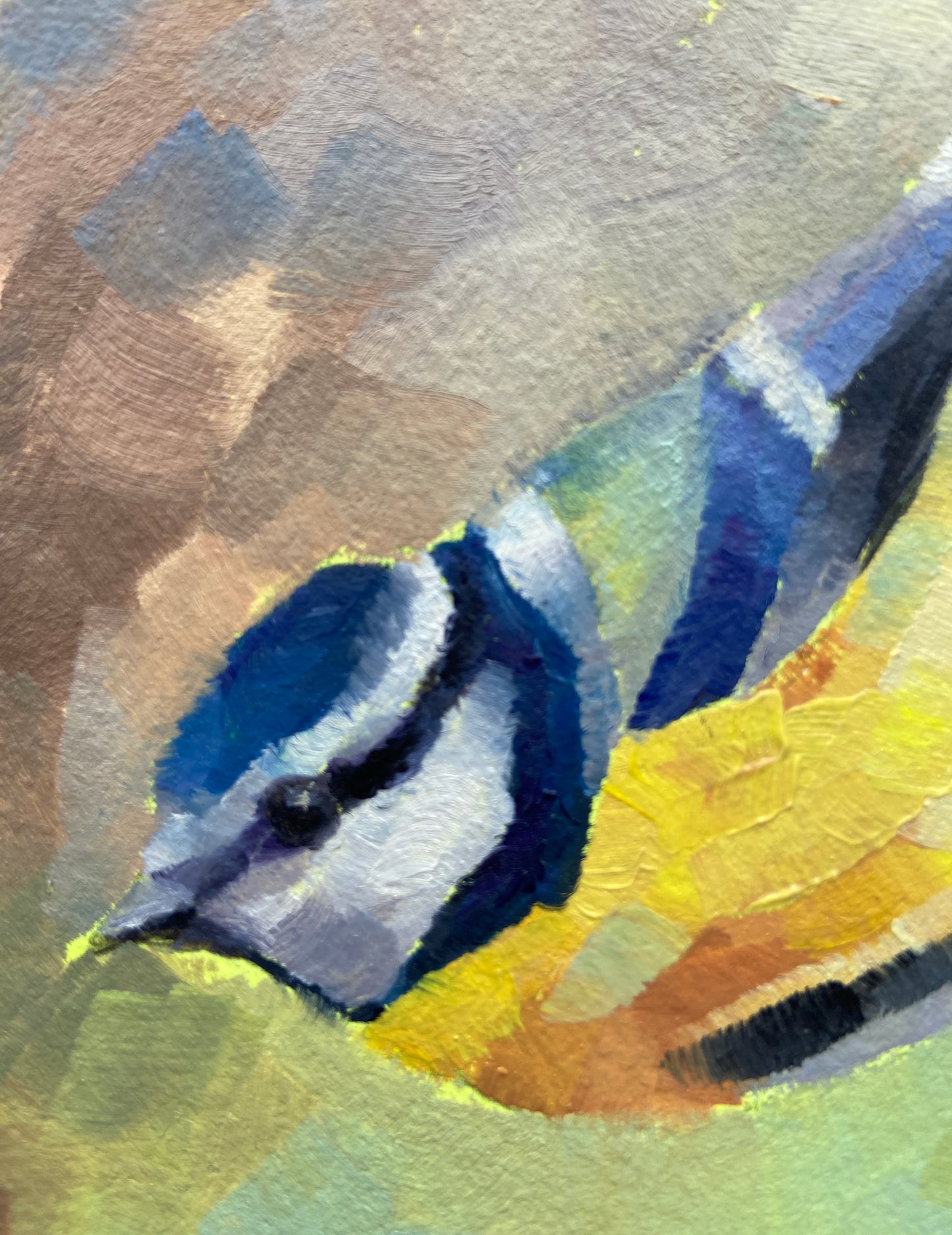 Blue Tit