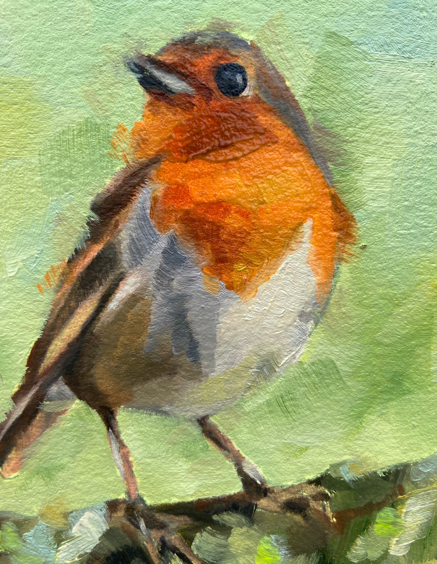 Robin Redbreast