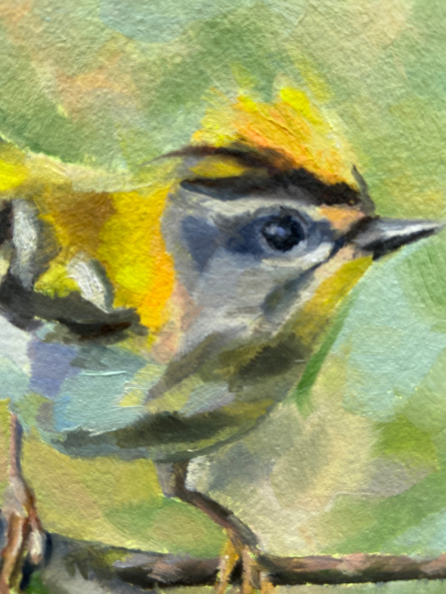 Firecrest